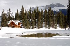 39 Cilantro On The Lake At Emerald Lake With Mount Wapta Behind In Yoho In Winter.jpg